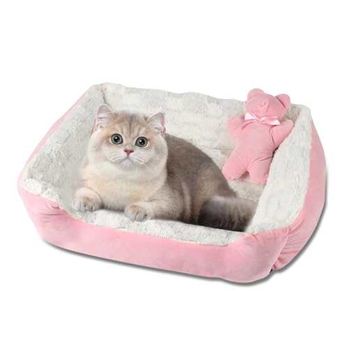 PETCUTE Katzenbett Orthopädisches Hundebett für Mittlere Hunde Waschbar Hundekissen Flauschig Katzenkorb Plüsch Hunde Bett mit Rand(Rosa 56 * 46 * 17cm) von PETCUTE