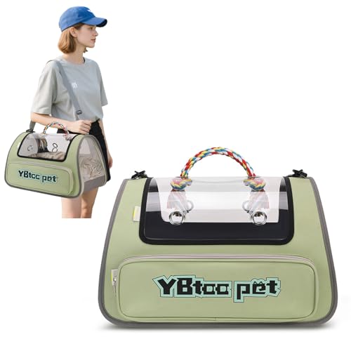 PETCUTE Katzentransportbox,Faltbare Transportbox Katze mit Sicherheitsleine,Airline Zugelassen,Katzentransporttasche für Kleine & Mittelgroße Katze Kätzchen Welpen Bis 5 Kg,Grün PETCUTE Katzentransportbox,Faltbare Transportbox Katze mit Sicherheitsleine,Airline Zugelassen,Katzentransporttasche für Kleine & Mittelgroße Katze Kätzchen Welpen Bis 5 Kg,Grün von PETCUTE