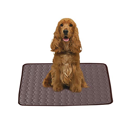 PETCUTE Kühlmatte für Hunde Haustier Kühlmatte für Katzen und Hunde kühldecke Hund selbstkühlende Decke für Hunde PETCUTE Kühlmatte für Hunde Haustier Kühlmatte für Katzen und Hunde kühldecke Hund selbstkühlende Decke für Hunde von PETCUTE