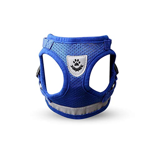 PETCUTE Reflektierende Hundegeschirr Verstellbar Kein Zug Hundegeschirr Mesh Weste Welpen Brustgeschirr Mit Leine Blau S PETCUTE Reflektierende Hundegeschirr Verstellbar Kein Zug Hundegeschirr Mesh Weste Welpen Brustgeschirr Mit Leine Blau S von PETCUTE