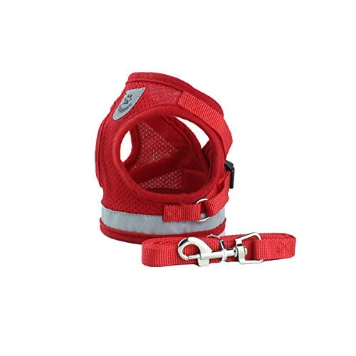 PETCUTE Reflektierende Hundegeschirr Verstellbar Kein Zug Hundegeschirr Mesh Weste Welpen Brustgeschirr Mit Leine rot S PETCUTE Reflektierende Hundegeschirr Verstellbar Kein Zug Hundegeschirr Mesh Weste Welpen Brustgeschirr Mit Leine rot S von PETCUTE