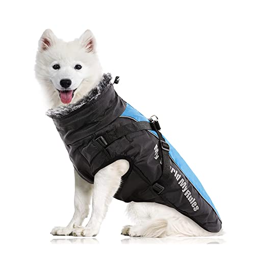 PETCUTE Wasserdichter Hundemantel,Reflektierend Hundejacke für Kleine Mittlere Große Hunde,Verstellbar Windabweisender Hundejacke,Hund Wintermantel mit Geschirr,Ideal für den Winter von PETCUTE