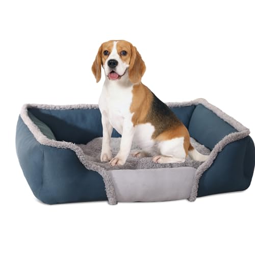 PETCUTE hundekorbchen mittel Hunde Hundebett Grosse Hunde hundekissen hundebett waschbar hundebetten fur mittlere Hunde hundesofa von PETCUTE