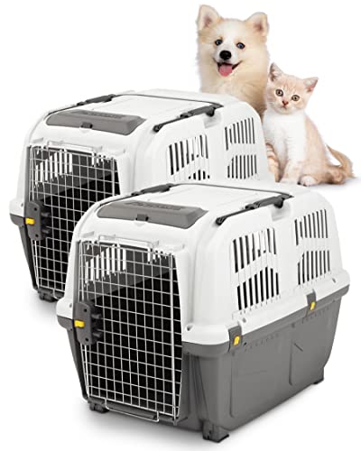 PETGARD 2er-Set Tierbox SKUDO 5 - Transport-Box für Tiere - Reise-Box für Tiere - Haustier-Transporter - Kleintier-Box 79x58x65 cm PETGARD 2er-Set Tierbox SKUDO 5 - Transport-Box für Tiere - Reise-Box für Tiere - Haustier-Transporter - Kleintier-Box 79x58x65 cm von PETGARD
