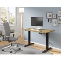 Petits-meubles - Elektrisches Schreibtisch bimotion 1S 120x65x2,5 cm Höhenverstellung 73-120 cm schwarz / Eiche Artisan Petits-meubles - Elektrisches Schreibtisch bimotion 1S 120x65x2,5 cm Höhenverstellung 73-120 cm schwarz / Eiche Artisan von PETITS-MEUBLES