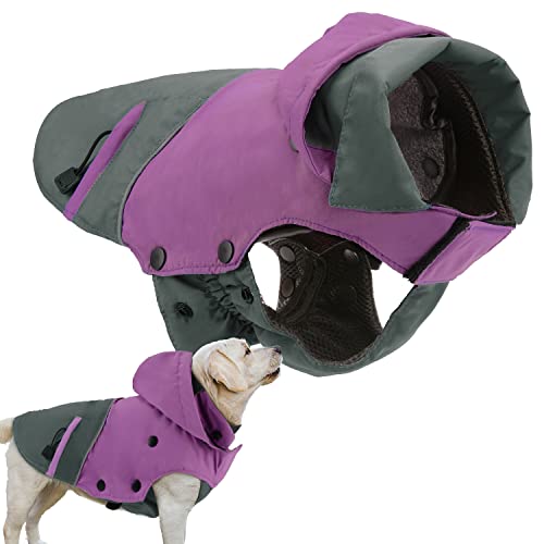 PETLOFT Hundewinterjacke, Reflektierende Winddicht Warme Fleecejacke für Draußen Mit Herausnehmbarem Fleecefutter (L, Violett) von PETLOFT
