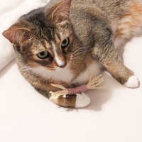 Katzenspielzeug - Sisalstange Auf Wunsch Duftend Nach Biokatzenminze Biobaldrian- Biomatatabi von PETLOVEDE