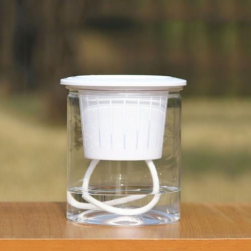 Selbstbewässernder transparenter Blumentopf für Haus- und Gartendekoration und Wassereffizienz (12 cm) von PETSTIBLE