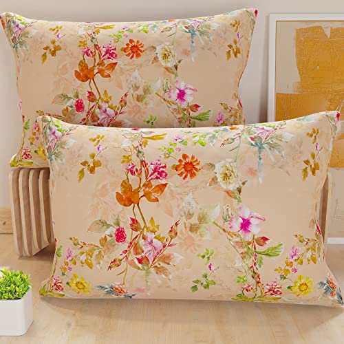 PETTI Artigiani Italiani - 1 Paar Kissenbezüge 60 x 40 cm aus Mikrofaser, Dekokissen für Schlafzimmer, Sofa, Wohnzimmer, Set mit 2 Kissenbezügen, Kissenbezug Spring Puder, 100% Made in Italy PETTI Artigiani Italiani - 1 Paar Kissenbezüge 60 x 40 cm aus Mikrofaser, Dekokissen für Schlafzimmer, Sofa, Wohnzimmer, Set mit 2 Kissenbezügen, Kissenbezug Spring Puder, 100% Made in Italy von PETTI Artigiani Italiani