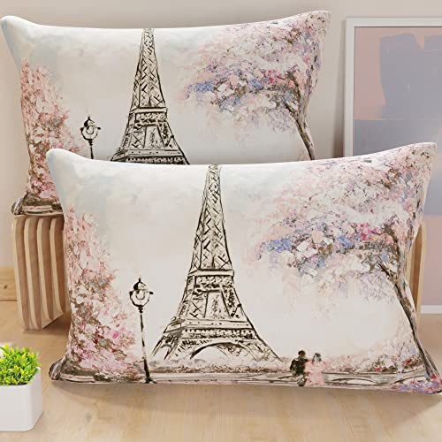PETTI Artigiani Italiani – 2 Kissenbezüge 70x50 cm Mikrofaser – Sofakissenhüllen Dekokissen – Zierkissenbezüge für Couch, Bett, Wohnzimmer – Weiche Kissenhüllen mit modernem Design – Made in Italy von PETTI Artigiani Italiani