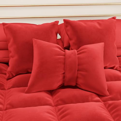 PETTI Artigiani Italiani - Set 2 Sofakissen aus Samt, Sofakissen, Möbelkissen für Sofa und Bett, Abnehmbarer Bezug mit Reißverschluss, Rot 40 x 40 cm, 100% Made in Italy von PETTI Artigiani Italiani