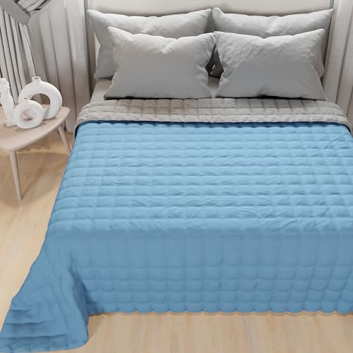 PETTI Artigiani Italiani - Steppdecke für Doppelbett, leichte Steppdecke, zweiseitig, Gesteppte Tagesdecke, leichte Sommerdecke, hellblau-grau PETTI Artigiani Italiani - Steppdecke für Doppelbett, leichte Steppdecke, zweiseitig, Gesteppte Tagesdecke, leichte Sommerdecke, hellblau-grau von PETTI Artigiani Italiani