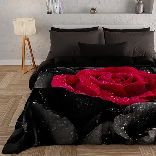 PETTI Artigiani Italiani - Winter-Steppdecke für Einzelbett, doppelseitige Steppdecke einfarbig und Digitaldruck Black Roses, hergestellt in Italien PETTI Artigiani Italiani - Winter-Steppdecke für Einzelbett, doppelseitige Steppdecke einfarbig und Digitaldruck Black Roses, hergestellt in Italien von PETTI Artigiani Italiani