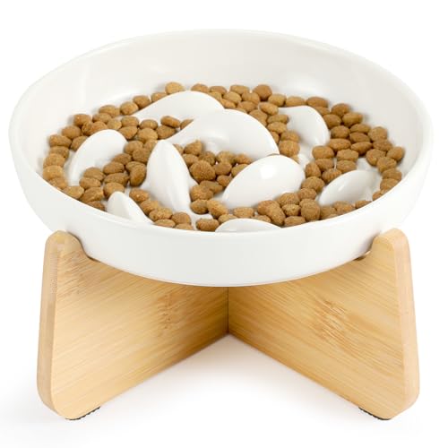 PETTOM Anti Schling Napf Katze Erhöht, Keramik Antischlingnapf Katze, Slow Feeder Katzen Nassfutter, Antischlingnapf für Katzen und Kleine Hunde von PETTOM