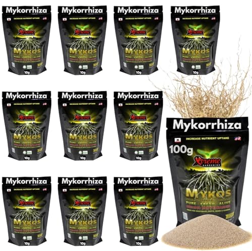 Mykorrhiza 100g | Wurzelaktivator | Natürlicher Bodenaktivator für gesundes Pflanzenwachstum von ARAE CBD