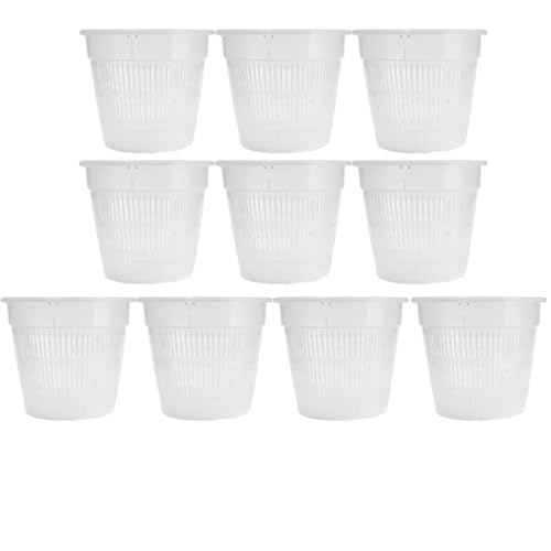 PEVAVFZMMY 10/1 stück Meshpot Durchsichtige Orchideentöpfe Aus Kunststoff for Blumen Atmungsaktives Becken Orchideenpflanzgefäße Wurzelkontrolle Orchidee Transparenter Desktop-Topf(10PCS) von PEVAVFZMMY