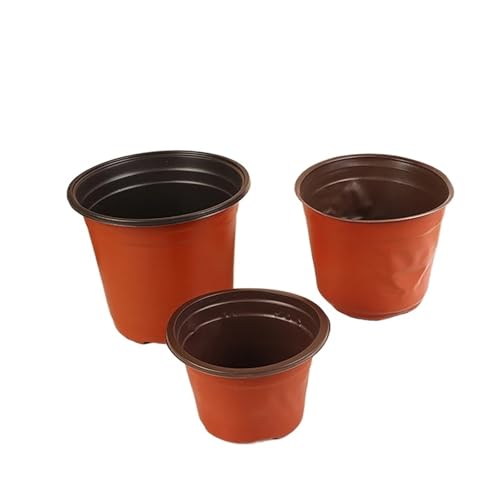 PEVAVFZMMY 10 STÜCKE 11-15 cm Kunststoff-Blumentopf-Anbau for Sukkulenten Kleiner Blumentopf Einfache Pflanzung Sämlingstopf Gärtnerei Töpfe Blumentopf(15CM) von PEVAVFZMMY