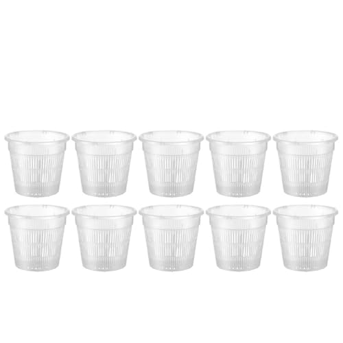 PEVAVFZMMY 20/1x Meshpot Klar Kunststoff Orchidee Töpfe Wurzel Kontrolle Atmungsaktiv Wachstum Blumentopf for Drainage Loch Garten Desktop Orchidee Topf(10PCS) von PEVAVFZMMY
