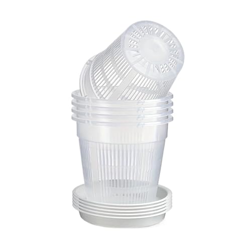 PEVAVFZMMY 5 stücke Mesh Topf Wurzel Kontrolle Transparent Blumentopf for Blume Atmungsaktive Wachstum Container Drainage Loch Orchidee Topf 11/14/16/19cm(16cm-5pcs) von PEVAVFZMMY