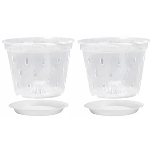 PEVAVFZMMY Blumenkübel Blumentöpfe Transparente Orchideentöpfe for seitlichen Löchern Tabletts Wiederverwendbare Pflanzgefäße aus Kunststoff for Blumen for Orchideen(12.5cm) von PEVAVFZMMY