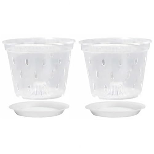 PEVAVFZMMY Blumentöpfe Gartenbedarf Transparente Orchideentöpfe for seitlichen Löchern Tabletts Wiederverwendbare Pflanzgefäße aus Kunststoff for Blumen Breite Anwendung(15cm) von PEVAVFZMMY