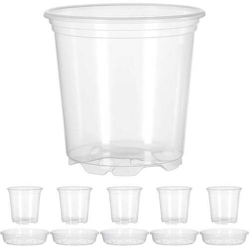 PEVAVFZMMY Hydroponische grüne Pflanzenvase aus PET, durchscheinend, hydroponisch, fördert gesundes Wachstum, Pflanzgefäß-Design for die Dekoration von Zuhause, Wohnung und Büro Blumentopf(5inch) PEVAVFZMMY Hydroponische grüne Pflanzenvase aus PET, durchscheinend, hydroponisch, fördert gesundes Wachstum, Pflanzgefäß-Design for die Dekoration von Zuhause, Wohnung und Büro Blumentopf(5inch) von PEVAVFZMMY