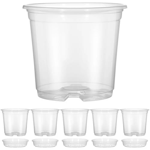 PEVAVFZMMY Hydroponische grüne Pflanzenvase aus PET, durchscheinend, hydroponisch, fördert gesundes Wachstum, Pflanzgefäß-Design for die Dekoration von Zuhause, Wohnung und Büro Blumentopf(3.5 inch) PEVAVFZMMY Hydroponische grüne Pflanzenvase aus PET, durchscheinend, hydroponisch, fördert gesundes Wachstum, Pflanzgefäß-Design for die Dekoration von Zuhause, Wohnung und Büro Blumentopf(3.5 inch) von PEVAVFZMMY