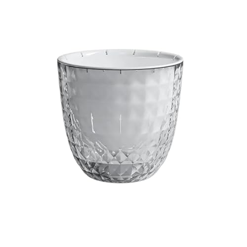 PEVAVFZMMY Transparenter, selbstabsorbierender Blumentopf aus Kunststoff for Hydrokulturpflanzen for Wasseranbau, wasserfreies Wasserspeicherbecken(S) von PEVAVFZMMY