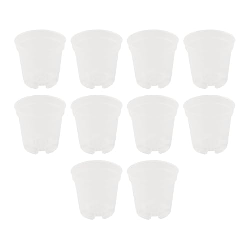PEVAVFZMMY Verwenden Sie atmungsaktive Transplantat-Töpfe, effiziente Drainage, Überwachung des Wurzelwachstums, transparentes Design, Heimgärtnerei Blumentopf(3 inches) von PEVAVFZMMY