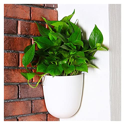 PEVSCO hängende Blumentöpfe Hängende Pflanzgefäße Selbstbewässerung rechtwinklig Wandmontierter Wand Ecke Kunststoff Blumentöpfe Korb Indoor Garden Home mit Haken (Color : Wit) von PEVSCO