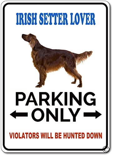 Irish Setter Schild Hund Haustier Parkschild Gun Metal Sign Home House Door Wall Decoration Tin Sign 30,5 x 20,3 cm Irish Setter Schild Hund Haustier Parkschild Gun Metal Sign Home House Door Wall Decoration Tin Sign 30,5 x 20,3 cm von PEreming