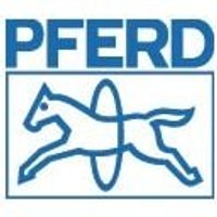 PFERD Werkstattfeile DIN 7261 Länge 250 mm Querschnitt 25 x 6 mm - 11101252 PFERD Werkstattfeile DIN 7261 Länge 250 mm Querschnitt 25 x 6 mm - 11101252 von PFERD