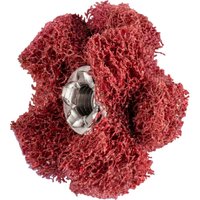 Schleifstern Polinox t 25-2 a 280 Pferd Schleifstern Polinox t 25-2 a 280 Pferd von PFERD