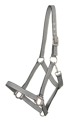 Kunststoffhalfter Streifenoptik, grau-hellgrau Full Kunststoffhalfter Streifenoptik, grau-hellgrau Full von PFIFF