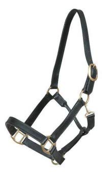 Lederstallhalfter, braun Full Lederstallhalfter, braun Full von PFIFF