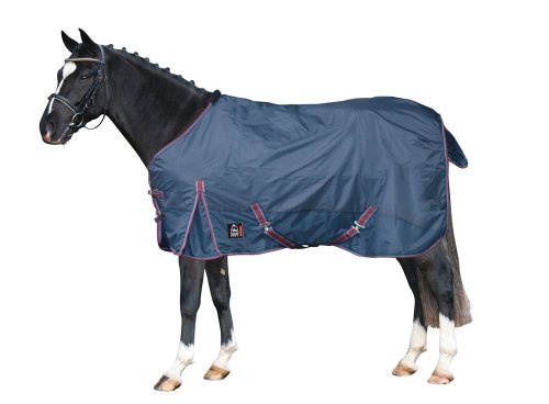 PFIFF 100263 Pferde Outdoor Decke, Regendecke Pferdedecke Weidedecke, Blau 165cm PFIFF 100263 Pferde Outdoor Decke, Regendecke Pferdedecke Weidedecke, Blau 165cm von PFIFF