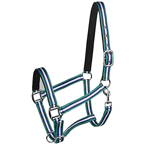 PFIFF 101517 Kunststoffhalfter, Weidehalfter Stallhalfter, Blau-Weiß-Grün, Cob von PFIFF