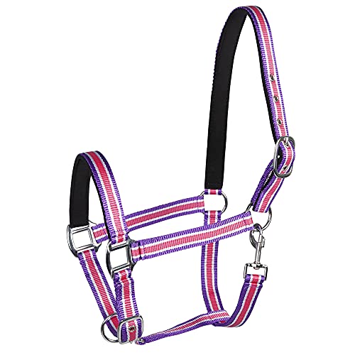 PFIFF 101517 Kunststoffhalfter, Weidehalfter Stallhalfter, Pink-Weiß-Lila, Pony von PFIFF