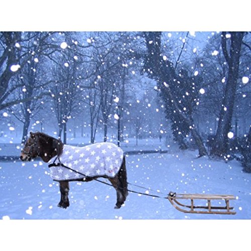 PFIFF 102226 Schlittengeschirr PFIFF 102226 Schlittengeschirr von PFIFF