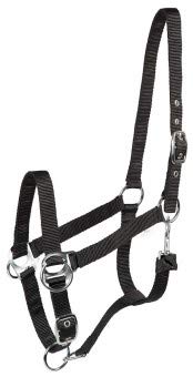 PFIFF 102469 Trainingshalfter, schwarz Cob PFIFF 102469 Trainingshalfter, schwarz Cob von PFIFF