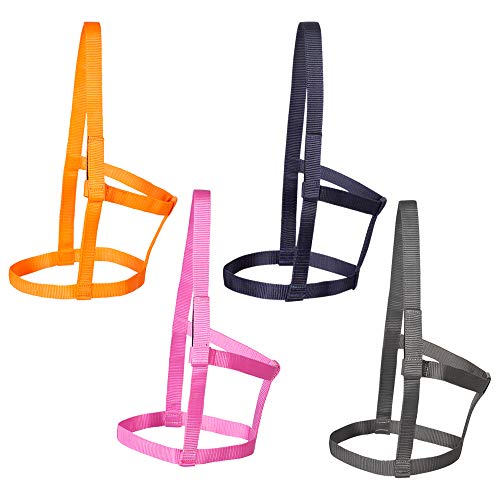 PFIFF 102920 Weidhalfter Joky, Weide Paddock, Ohne Beschläge, Nylon, Pink, Pony PFIFF 102920 Weidhalfter Joky, Weide Paddock, Ohne Beschläge, Nylon, Pink, Pony von PFIFF