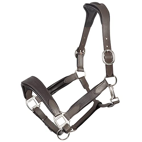 PFIFF 102924 Halfter Sobria, Lederhalfter mit Prägung, Weiche Polsterung, Braun Xfull PFIFF 102924 Halfter Sobria, Lederhalfter mit Prägung, Weiche Polsterung, Braun Xfull von PFIFF