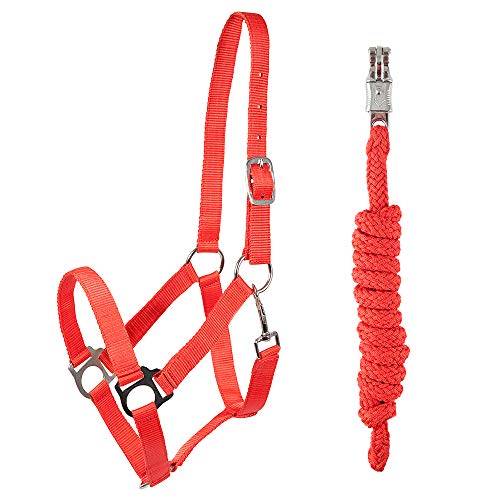 PFIFF 102931 Halfter und Strick Set, Kunststoffhalfter Führstrick, Rot Cob von PFIFF