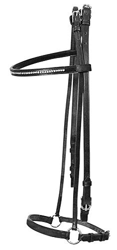 PFIFF Islandtrense ´Sölvi´, schwarz Cob von PFIFF