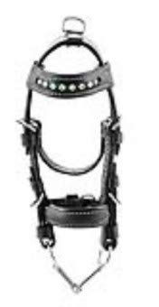 PFIFF Minitrense, schwarz-grün PFIFF Minitrense, schwarz-grün von PFIFF