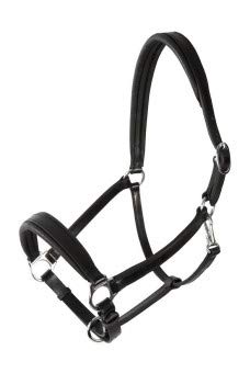 PFIFF Platin, Lederhalfter Dundee, braun Full PFIFF Platin, Lederhalfter Dundee, braun Full von PFIFF