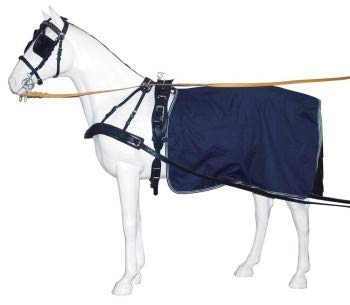 Pfiff 002073 Fahrdecke, wasserabweisende gefütterte Winterdecke, Nierendecke, Full / Warmblut Braun von PFIFF