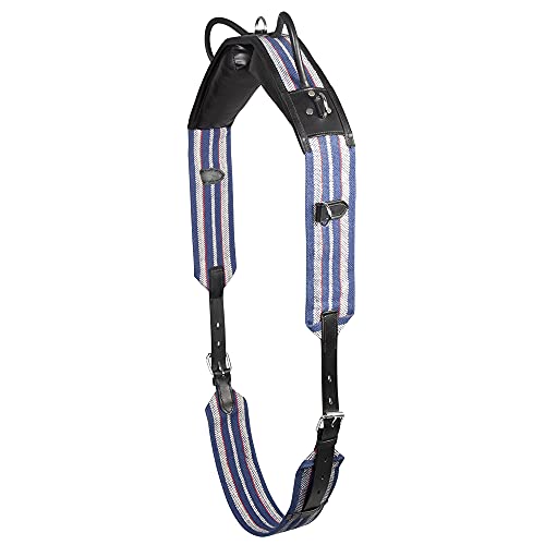 Pfiff 004191 Reitgurt, 2 Griffe, Sattelloses Reiten, Cob Pfiff 004191 Reitgurt, 2 Griffe, Sattelloses Reiten, Cob von PFIFF