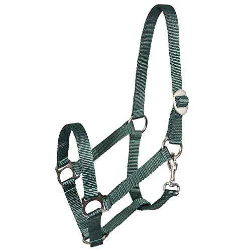 Pfiff 005543 Halfter, Weidehalfter Stallhalfter, Kunststoff Grün Pony Klein Pfiff 005543 Halfter, Weidehalfter Stallhalfter, Kunststoff Grün Pony Klein von PFIFF