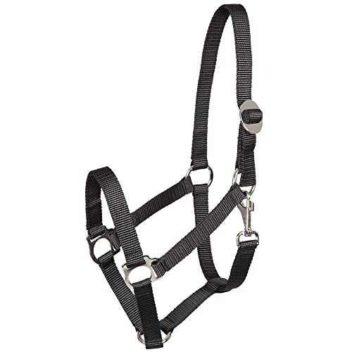 Pfiff 005543 Halfter, Weidehalfter Stallhalfter, Kunststoff Schwarz Full Warmblut von PFIFF